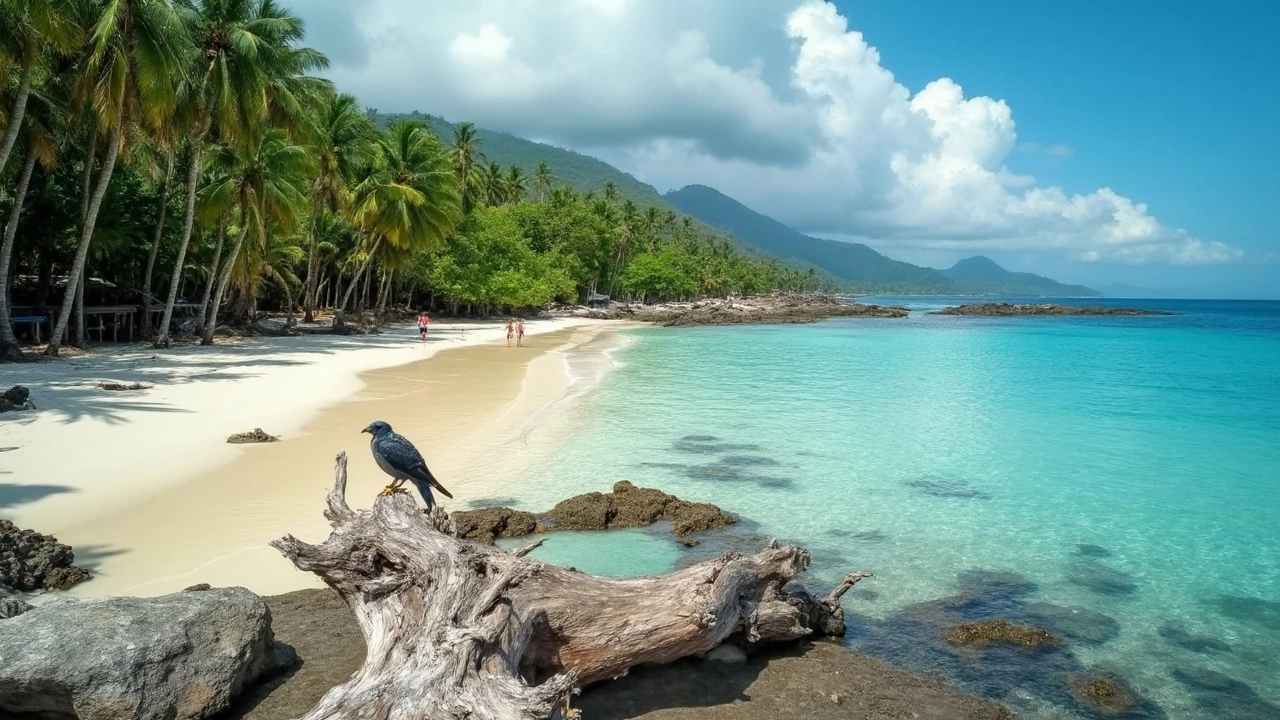 Kerala’s Backwaters and Beaches