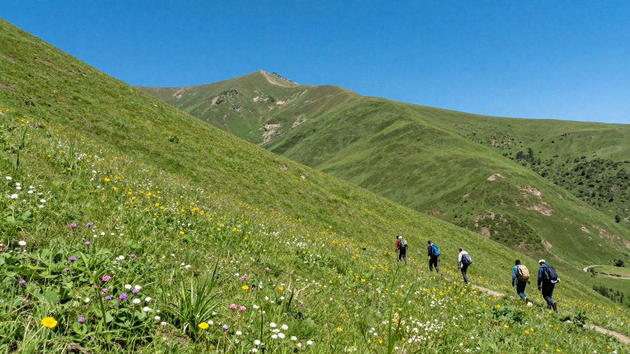 How to Start Trekking in India: A Beginner’s Guide to Gear, Safety, and First Trips