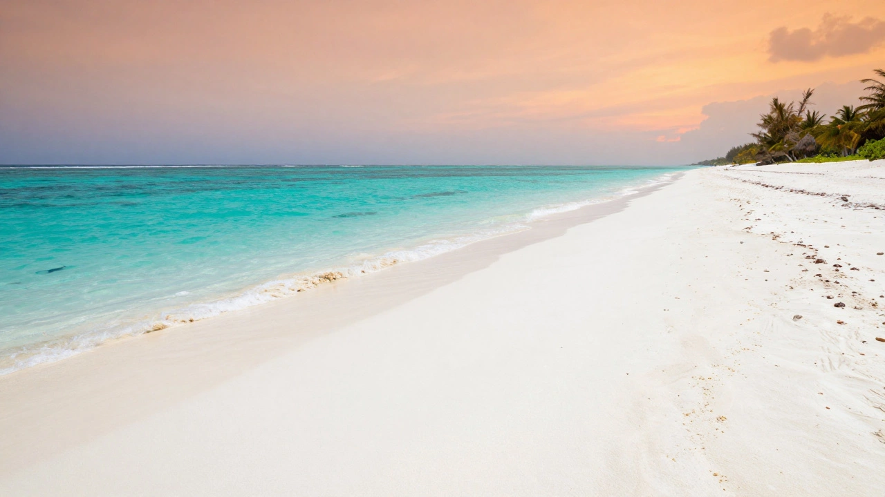 The Cleanest Beaches in India: Top Picks for Pristine Sand and Clear Water